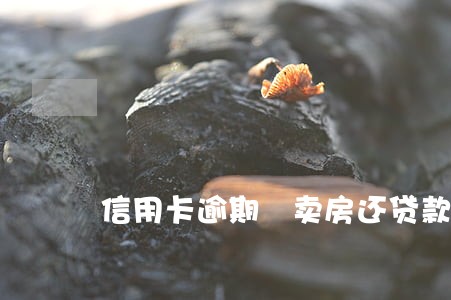 信用卡逾期 卖房还贷款吗 信用卡逾期 卖房还贷款吗